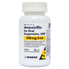 Sandoz Amoxicillin for Oral Suspension USP 250mg/5mL, 80ml