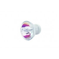 DCI Light Bulb, 12 VAC 100 Watt