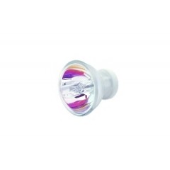 DCI Light Bulb, 12 VAC 75 Watt