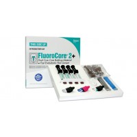 Dentsply Caulk FluoroCore 2+ Mixing tips 25/pkg