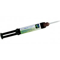 Kerr Temp-Bond Clear automix refill, 1 x 5ml syringe, 10 tips
