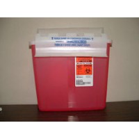 Sharps Container 5 QT with Lid Door Trans Red