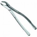 Extraction Forcep
