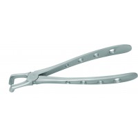 Adult Extraction Forcep, FXX79