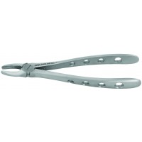 Adult Extraction Forcep, FXX2