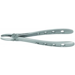 Adult Extraction Forcep, FXX2