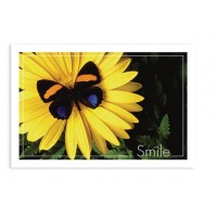 Sherman Dental BUTTERFLY SMILE POSTCARD