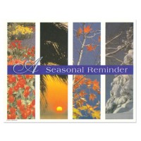 Sherman Dental 4 SEASONS POSTCARD - SINGLE IMAGE