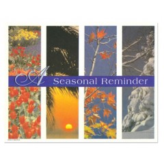 Sherman Dental 4 SEASONS POSTCARD - SINGLE IMAGE