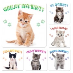 Sherman Dental KITTEN PATIENT STICKERS (100)