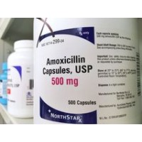 Northstar Amoxicillin Capsules USP 500mg, 500 Capsules